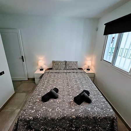 Canary Dreams 皮拉亚德尔库拉